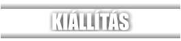 KIÁLLÍTÁS