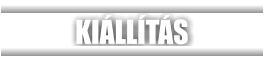 KIÁLLÍTÁS