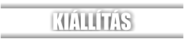KIÁLLÍTÁS