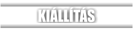 KIÁLLÍTÁS